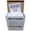 Artstraws White Paper Straws Mini School Bulk Pack